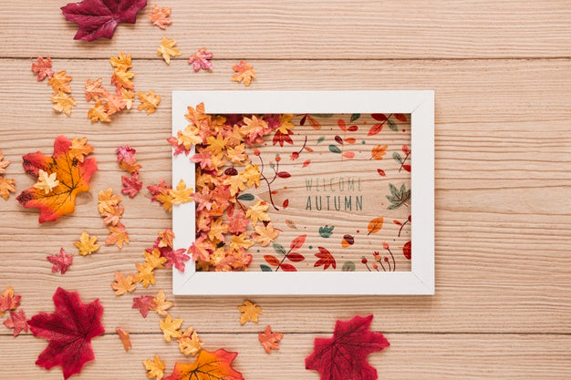 Free Cute Arrangement Of Dried Leaves Of All Sizes Psd