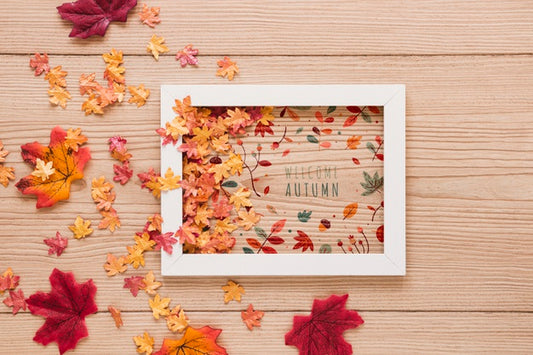 Free Cute Arrangement Of Dried Leaves Of All Sizes Psd